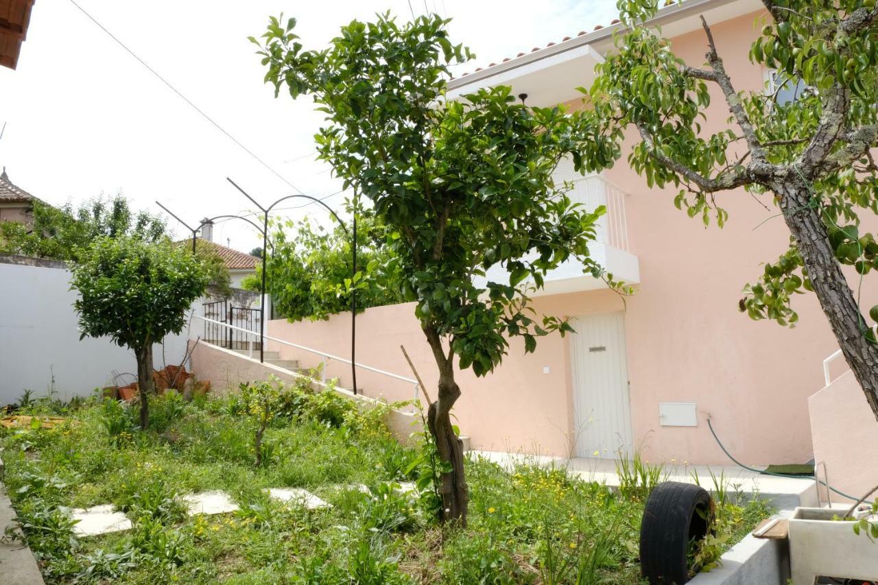 Vale Coelhos Casa De Campo Sarnadela エクステリア 写真