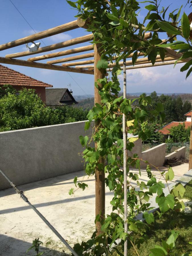 Vale Coelhos Casa De Campo Sarnadela エクステリア 写真